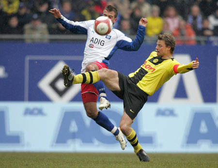 在全球羽毛 在全球羽毛